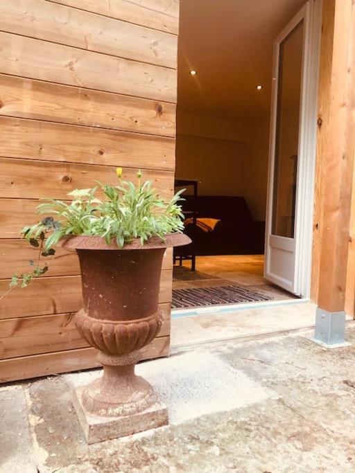 Apartamento Bienvenue « A L'Ombre Du Figuier » Pieusse Exterior foto